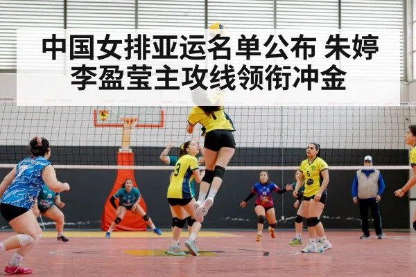 中国女排亚运名单公布 朱婷李盈莹主攻线领衔冲金